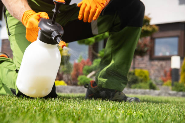 La Junta, CO Pest Control Company