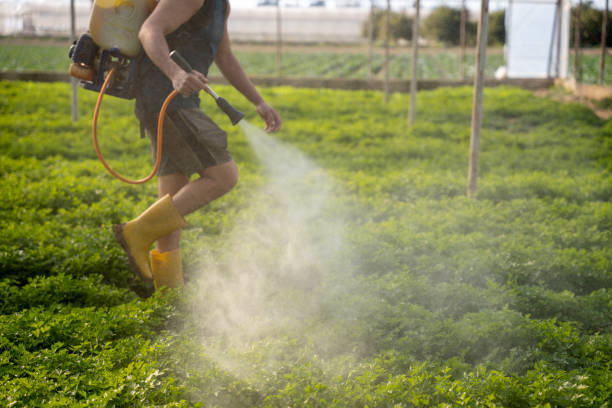 Best Mosquito Control Services  in La Junta, CO