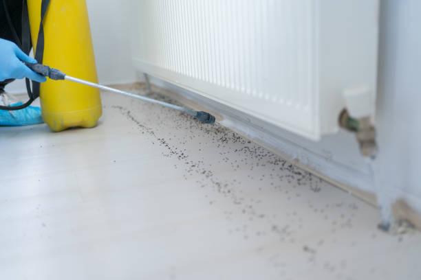  La Junta, CO Pest Control Pros
